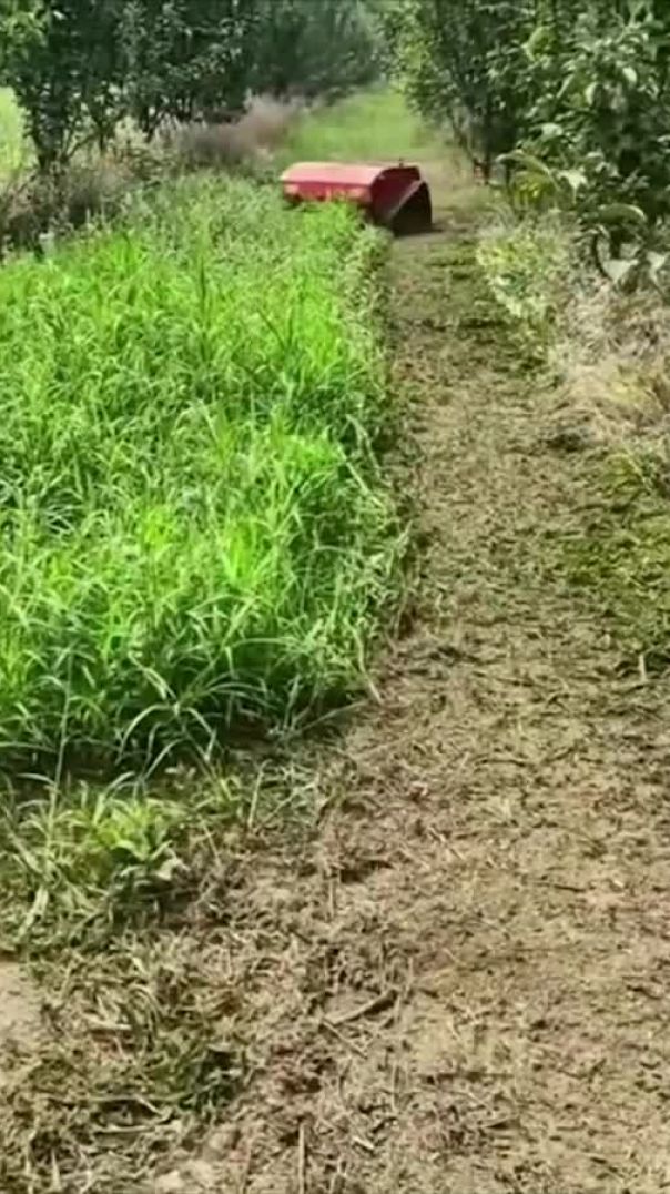 Automating Grass Cutting